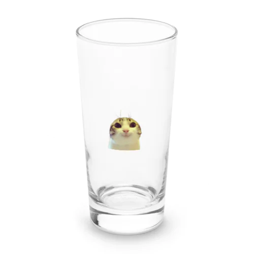 お願い猫 meme Long Sized Water Glass