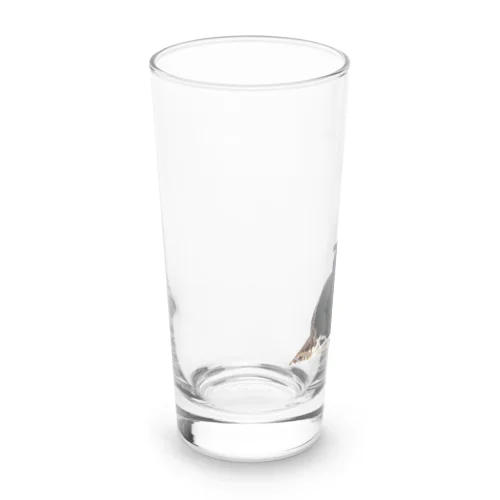 雉 Long Sized Water Glass