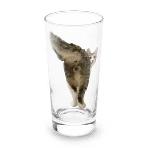 セクシーにゃんたま Long Sized Water Glass