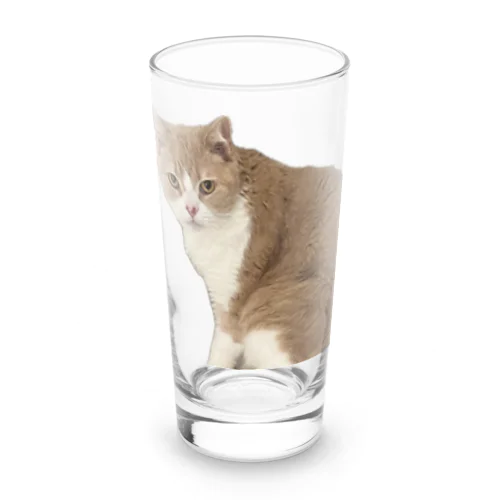 マシロくん猫グッズ Long Sized Water Glass