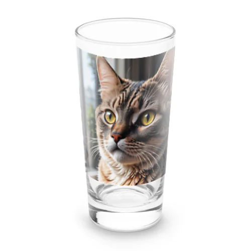 飼い主と愛情深いコミュニケーションを楽しむかわいいネコの姿🐱 Long Sized Water Glass