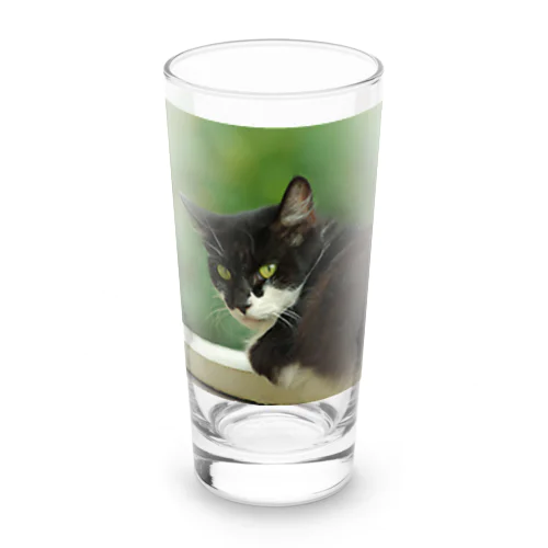 振り向くネコ Long Sized Water Glass
