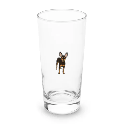 Miniature pinscher Long Sized Water Glass