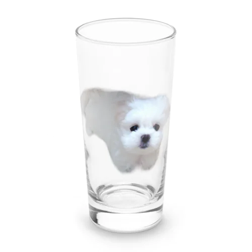 ミルクが家族になった日🐶 Long Sized Water Glass