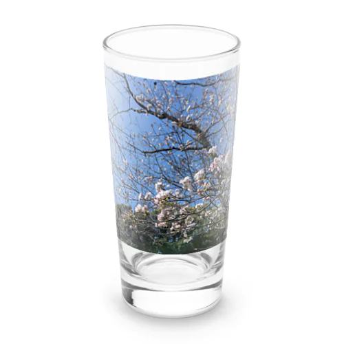 桜が散る頃に ロンググラス