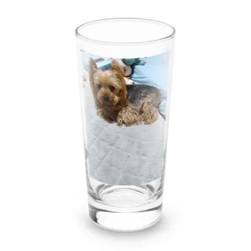 アレンくん Long Sized Water Glass