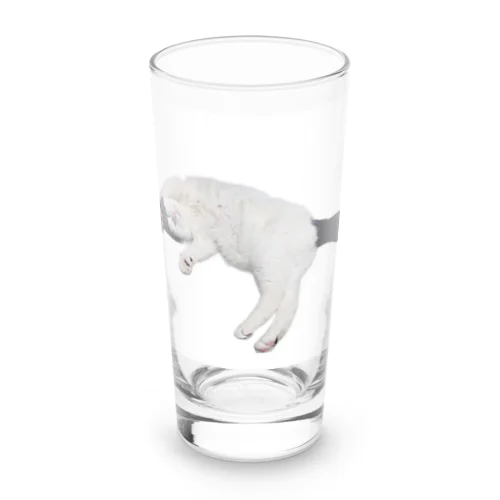 尻尾が短い保護猫 たぬちゃん Long Sized Water Glass