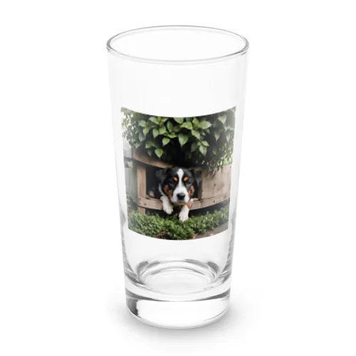 箱の中から覗く犬 dog looking in the box Long Sized Water Glass