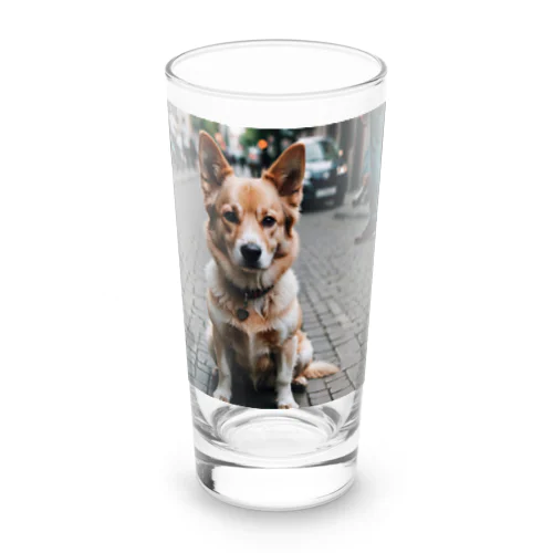 パワフルとは対照的な風貌を持つ可愛らしい犬がカメラ目線！ Long Sized Water Glass