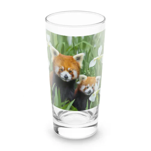 レッサーパンダの親子 Long Sized Water Glass