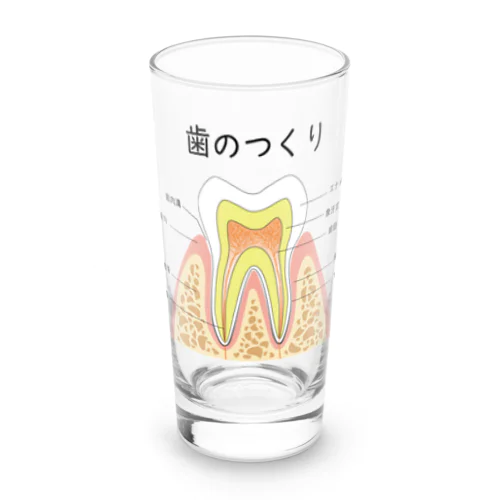 歯のつくり Long Sized Water Glass