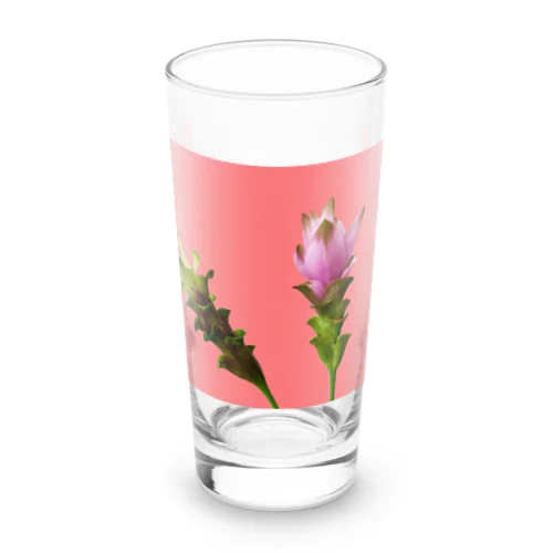 Curcuma alismatifolia -pink Long Sized Water Glass