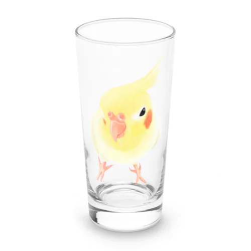 オカメインコ　おすましルチノー【まめるりはことり】 Long Sized Water Glass