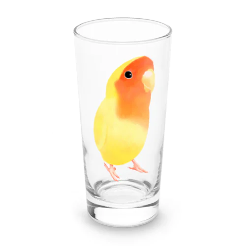 コザクラインコ　おすましルチノー【まめるりはことり】 Long Sized Water Glass