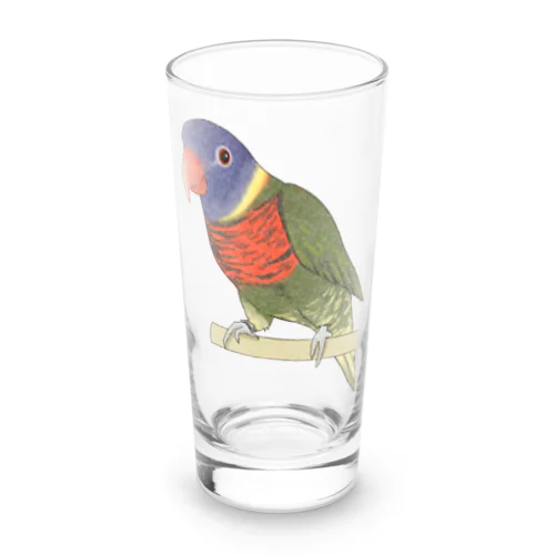 色合いが綺麗なゴシキセイガイインコちゃん【まめるりはことり】 Long Sized Water Glass