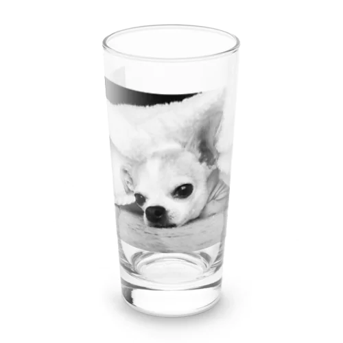 モノクロチワワ（アンニュイ1） Long Sized Water Glass