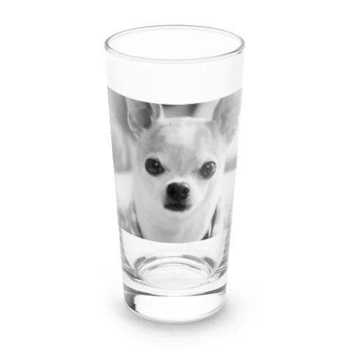 モノクロチワワ（おすまし） Long Sized Water Glass