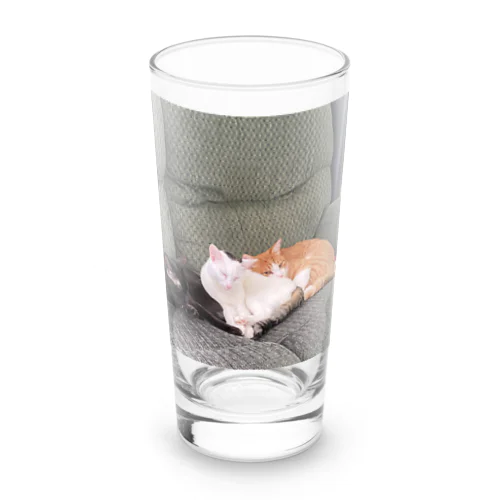 ウチの猫達 Long Sized Water Glass