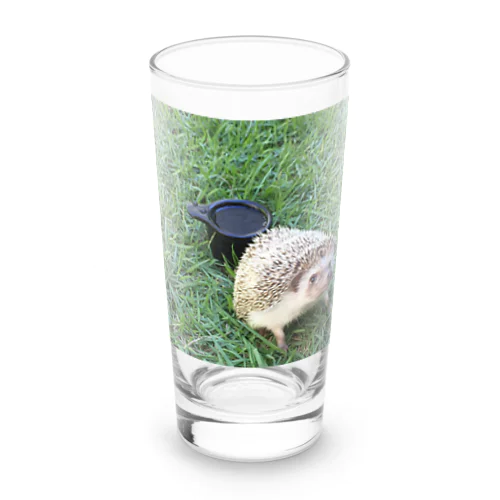 ハリネズミ Long Sized Water Glass