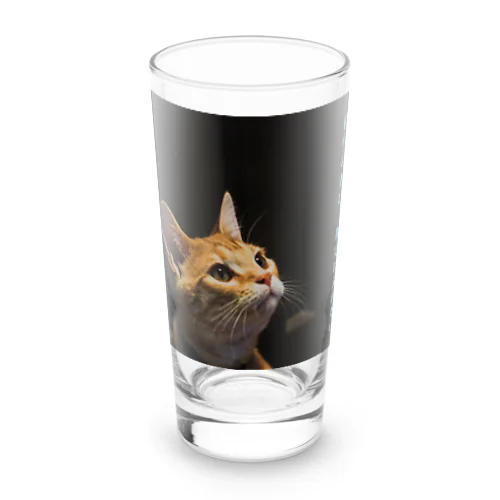 夜中の君は　勘定に入れない Long Sized Water Glass