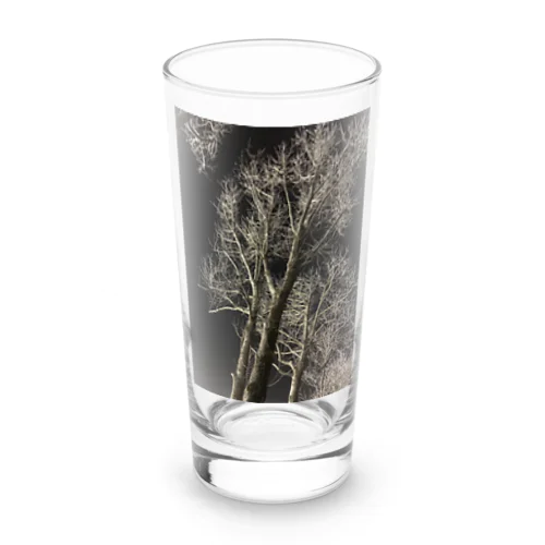 202001121944000　夜の樹木 Long Sized Water Glass