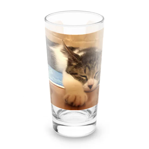 飛べるポーズで眠るパル～南の島のにゃんこ～ Long Sized Water Glass