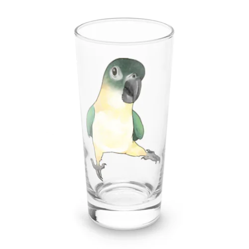 ご機嫌なズグロシロハラインコのカイ君【まめるりはことり】 Long Sized Water Glass