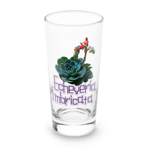 エケベリアの花 Long Sized Water Glass