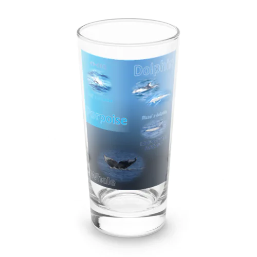 イルカとクジラの違い Long Sized Water Glass