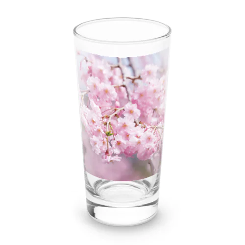 癒しの風景（八重桜） Long Sized Water Glass