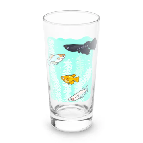 メダカ　B01 Long Sized Water Glass