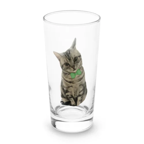 アメショのあかりちゃん緑リボンversion Long Sized Water Glass