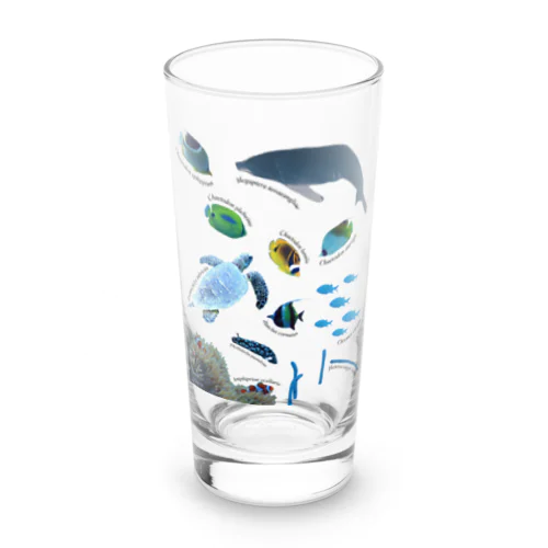 沖縄の海の生き物 Long Sized Water Glass