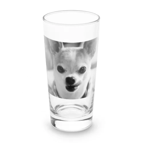 モノクロチワワ（ぺろんちょ） Long Sized Water Glass