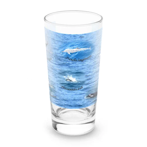 船上から見た鯨類(1) Long Sized Water Glass