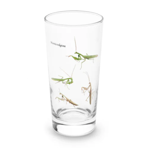 ウスバカマキリ（背景透過ver） Long Sized Water Glass