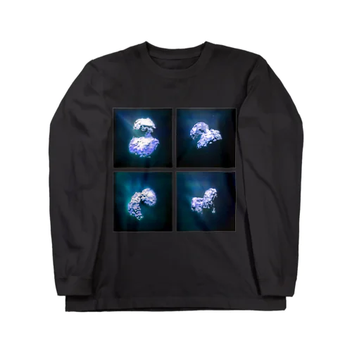 Rosetta [blue] Long Sleeve T-Shirt