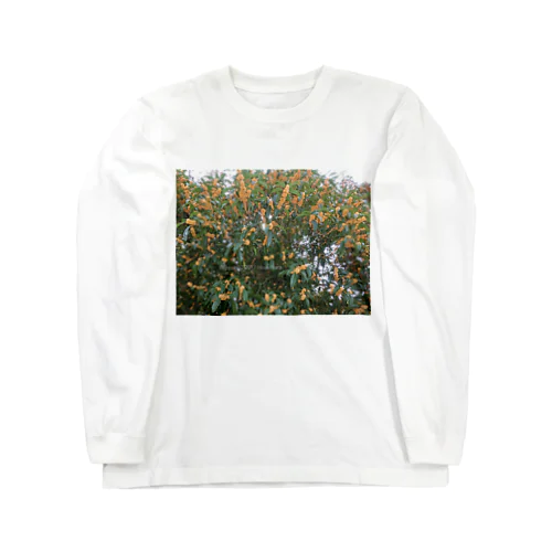 光景　sight740　キンモクセイ　金木犀　花 FLOWERS　壁紙 Long Sleeve T-Shirt