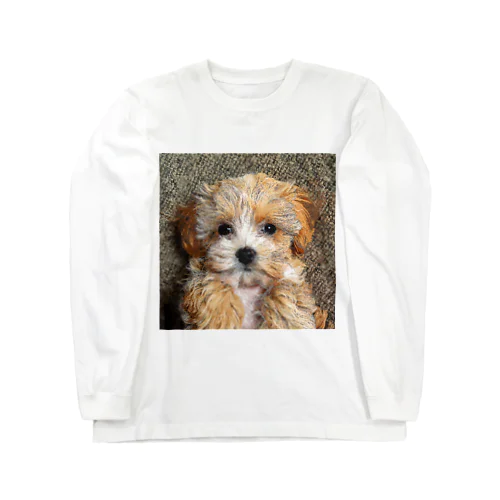 かわいいマルプーの子犬 ロングスリーブTシャツ