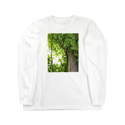 ナチュラルグリーン Long Sleeve T-Shirt