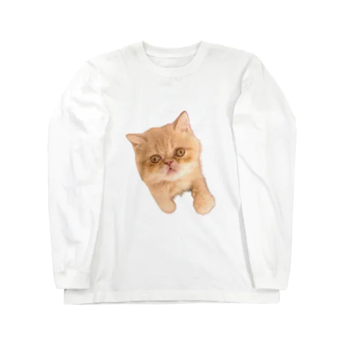 エキゾチックショートヘア猫 Long Sleeve T-Shirt
