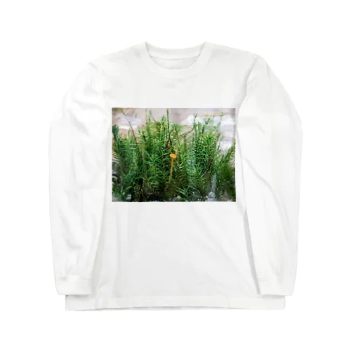 キノコと苔テラリウム Long Sleeve T-Shirt