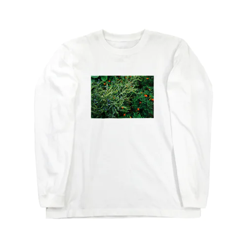 庭の花 ロングスリーブTシャツ