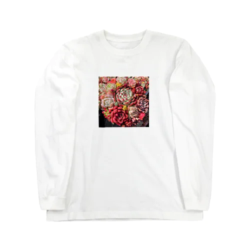 華やかなエケベリア Long Sleeve T-Shirt