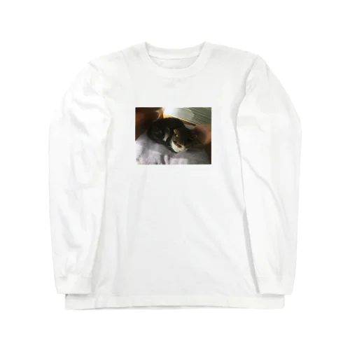 猫 롱 슬리브 티셔츠