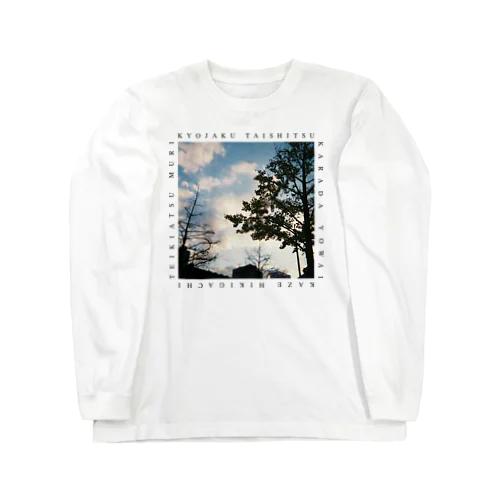 虚弱体質（写真、白） Long Sleeve T-Shirt