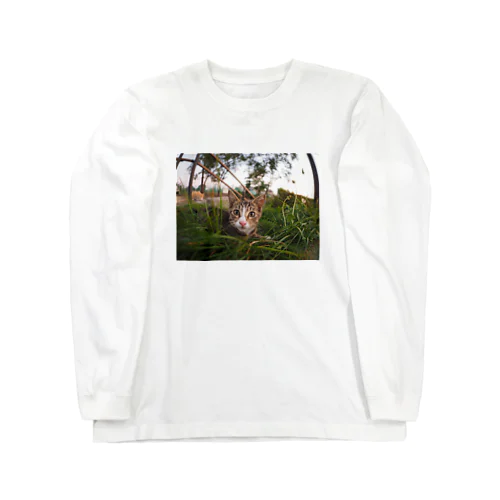 のらこねこ Long Sleeve T-Shirt