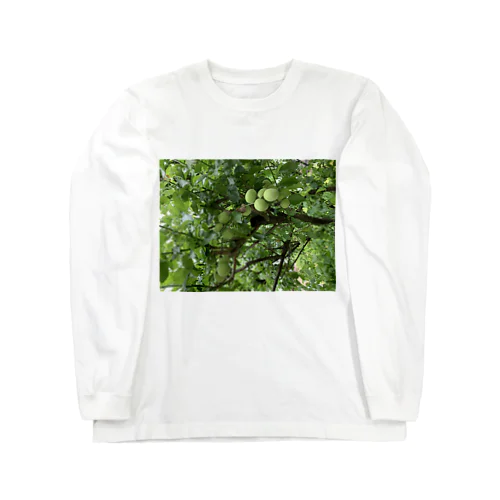 wagayanoume Long Sleeve T-Shirt