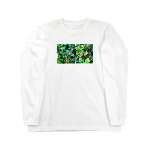 乗鞍岳の高山植物 Long Sleeve T-Shirt