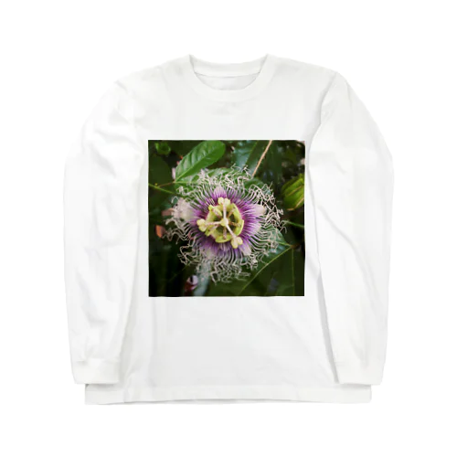 時計草 Long Sleeve T-Shirt